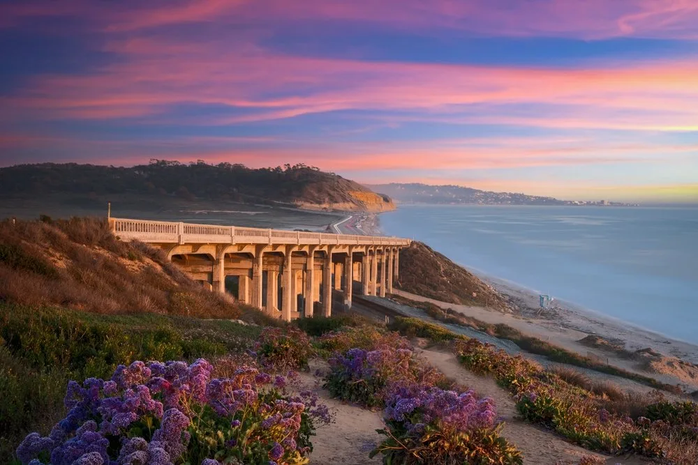 Clogged Drain Solutions in Torrey Pines, CA